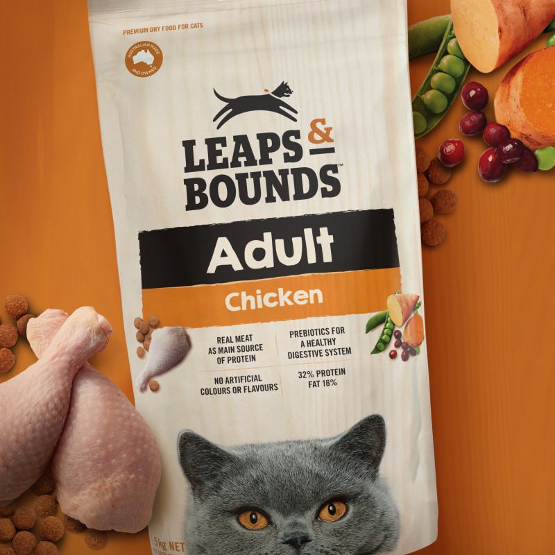 Energi Packaging Design Leaps & Bounds new cat design key visual